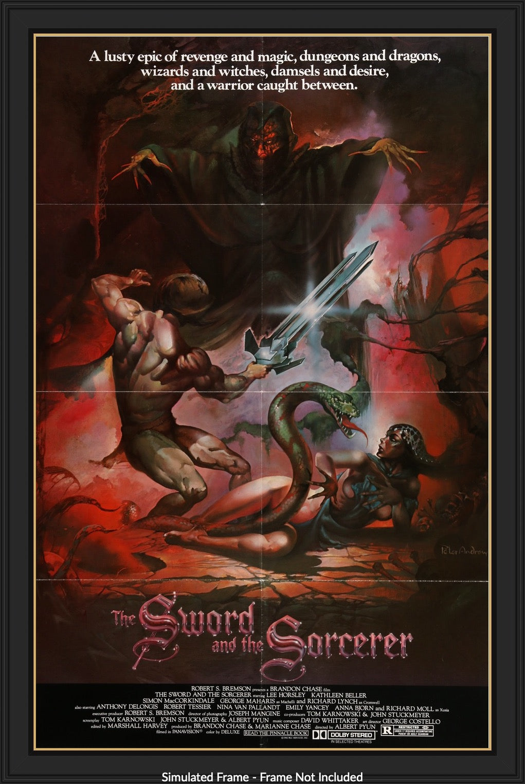 Sword and the Sorcerer (1982) original movie poster for sale at Original Film Art - Vintage Movie Posters