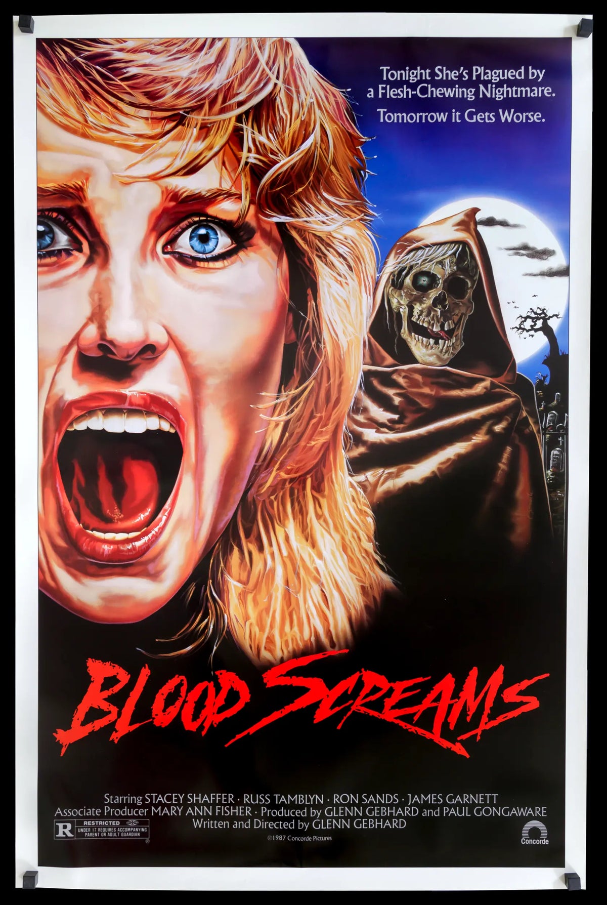 Blood Screams (1988) original movie poster for sale at Original Film Art