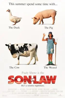 Son in Law (1993) original movie poster for sale at Original Film Art - Vintage Movie Posters