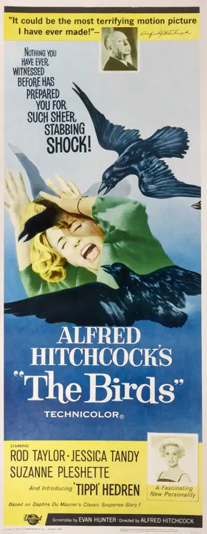 Birds (1963) original movie poster for sale at Original Film Art - Vintage Movie Posters