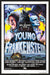 Young Frankenstein (1974) original movie poster for sale at Original Film Art