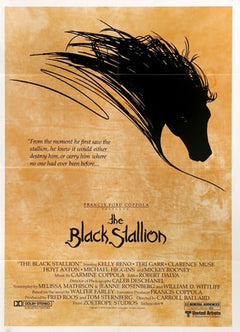 ワイルドブラックTHE BLACK STALLION USオリジナル映画ポスター The Black Stallion (1979) Original Thirty by Forty Movie Poster