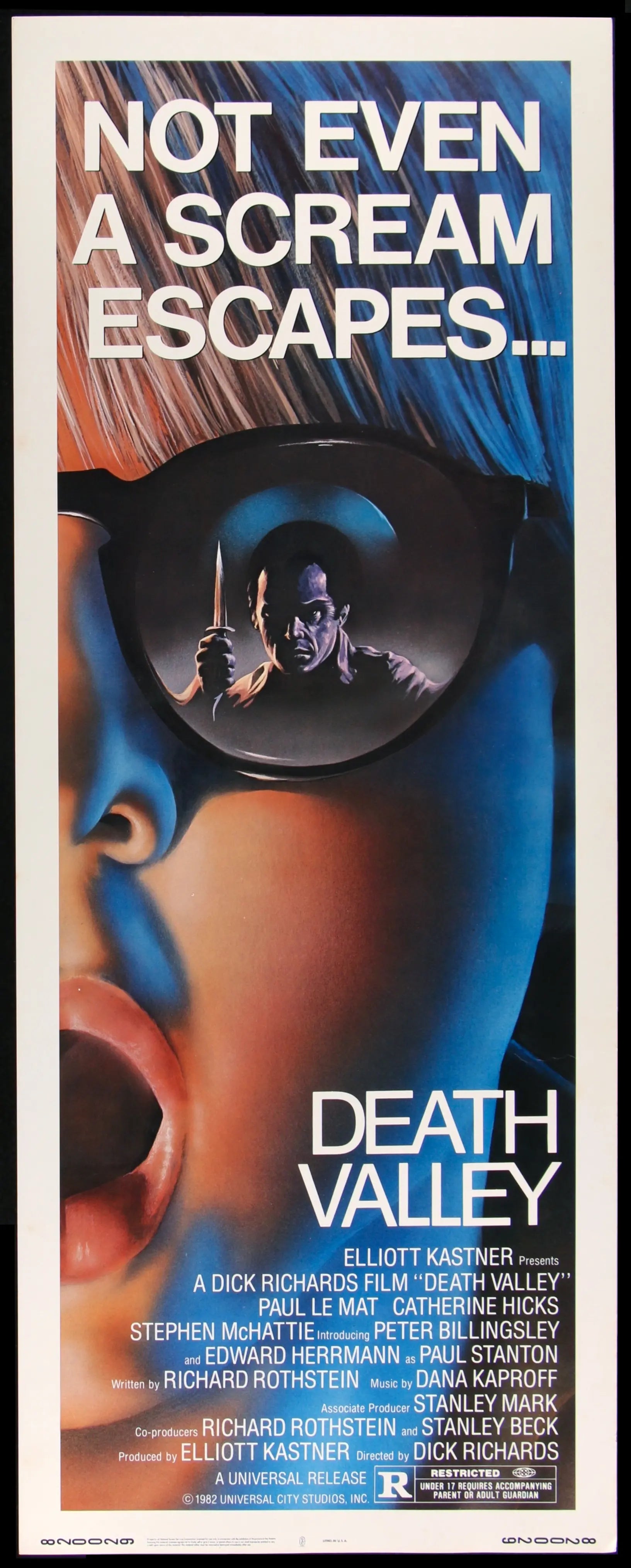 Death Valley (1982) Original Insert Movie Poster - Original Film Art -  Vintage Movie Posters