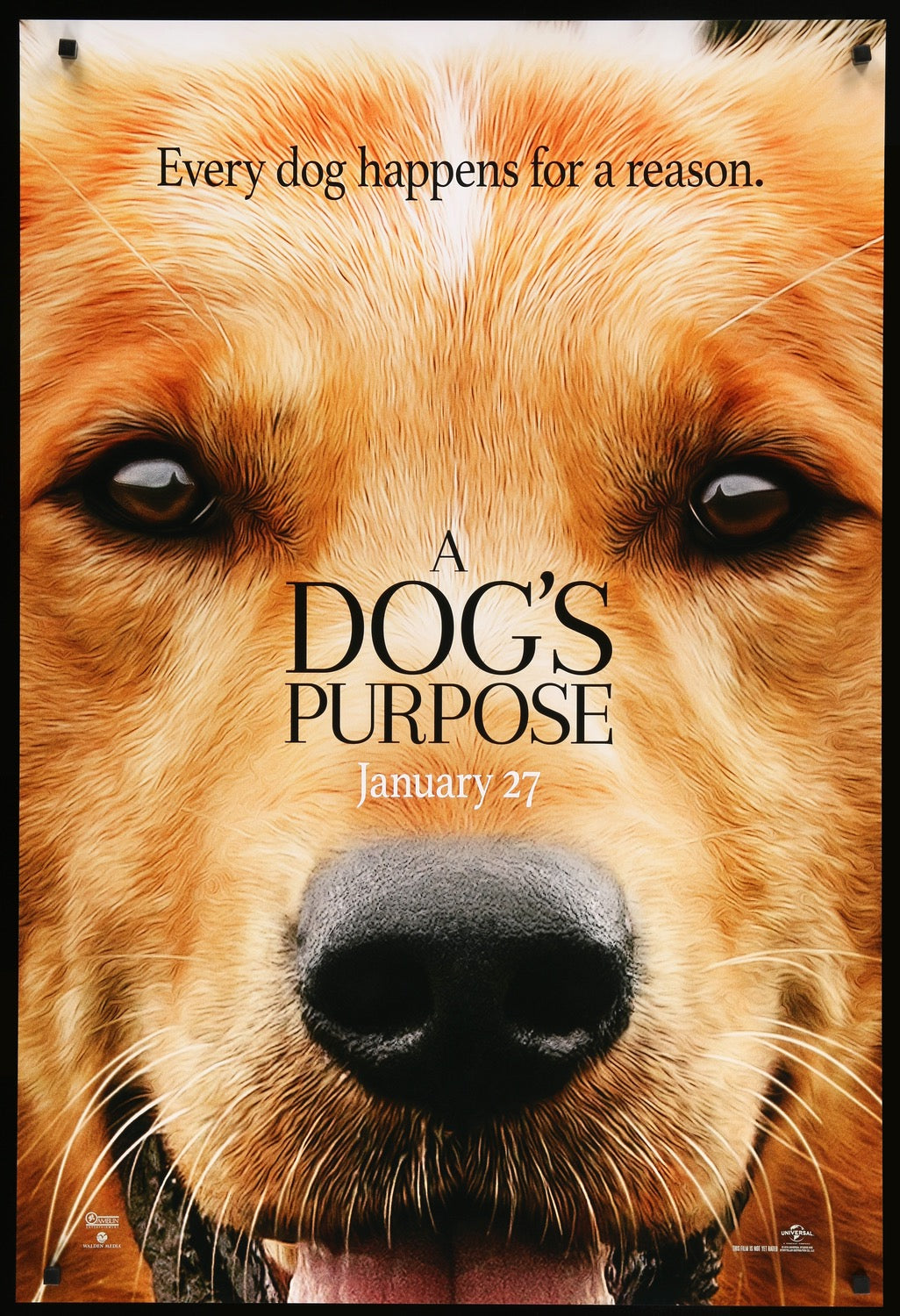 Dog&#39;s Purpose (2017) original movie poster for sale at Original Film Art