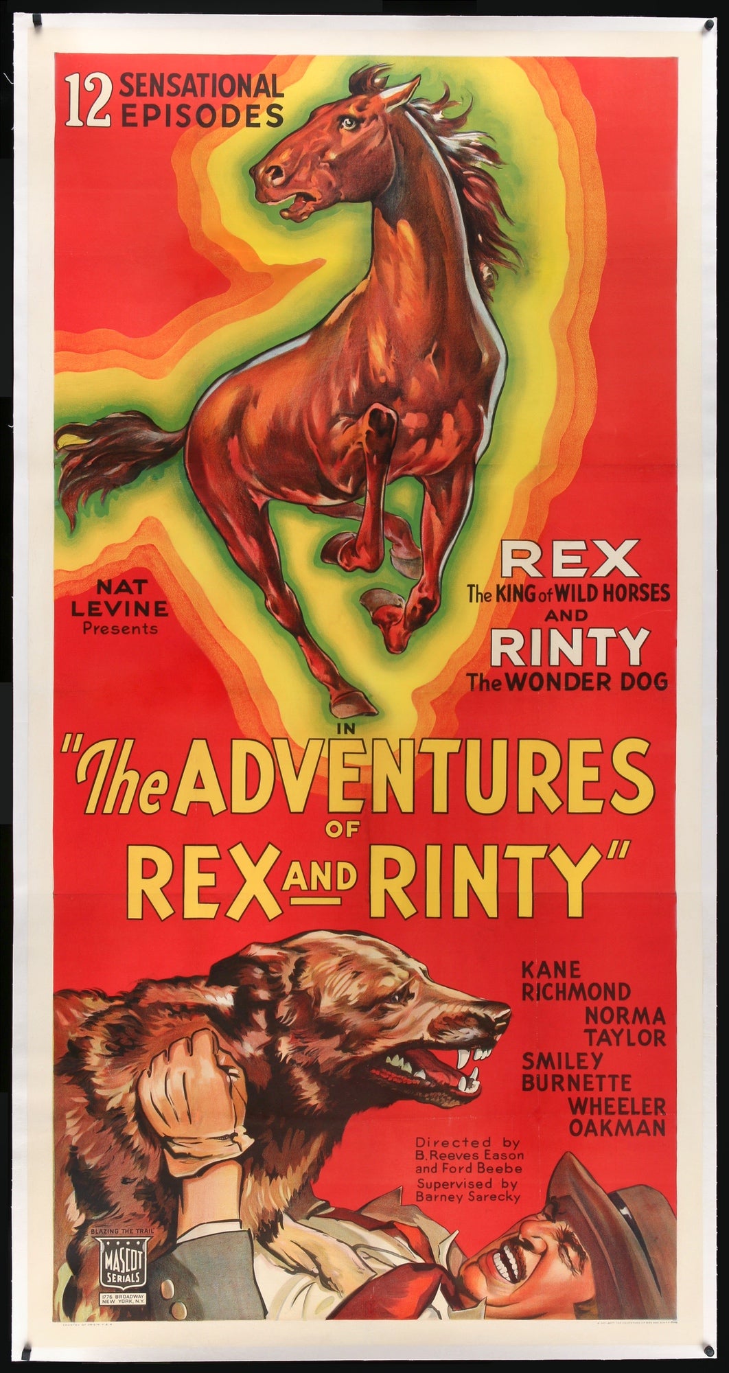 Adventures of Rex and Rinty (1935) original movie poster for sale at Original Film Art