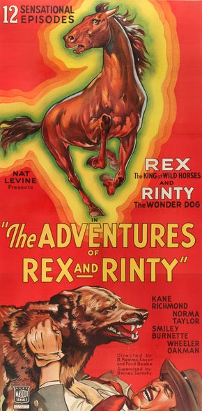 Adventures of Rex and Rinty (1935) original movie poster for sale at Original Film Art