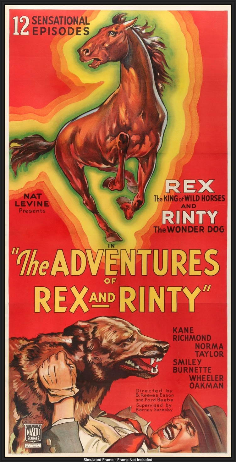 Adventures of Rex and Rinty (1935) original movie poster for sale at Original Film Art