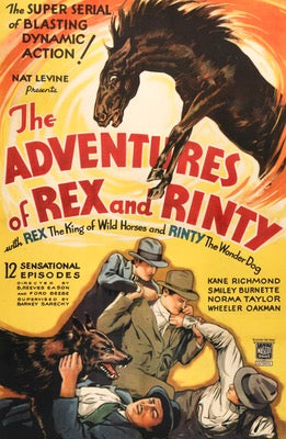 Adventures of Rex and Rinty (1935) original movie poster for sale at Original Film Art - Vintage Movie Posters