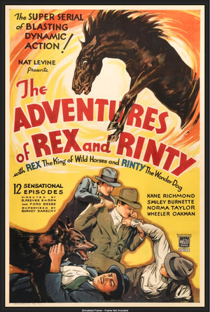 Adventures of Rex and Rinty (1935) original movie poster for sale at Original Film Art