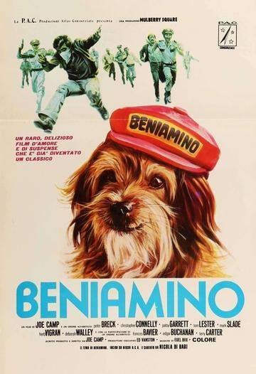 Benji (1974) original movie poster for sale at Original Film Art - Vintage Movie Posters