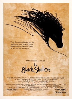 ワイルドブラックTHE BLACK STALLION USオリジナル映画ポスター The Black Stallion (1979) Original Thirty by Forty Movie Poster
