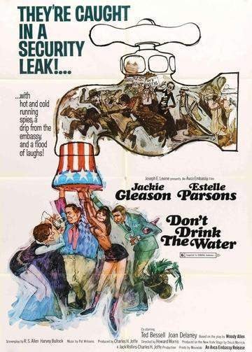Don't Drink the Water (1969) original movie poster for sale at Original Film Art