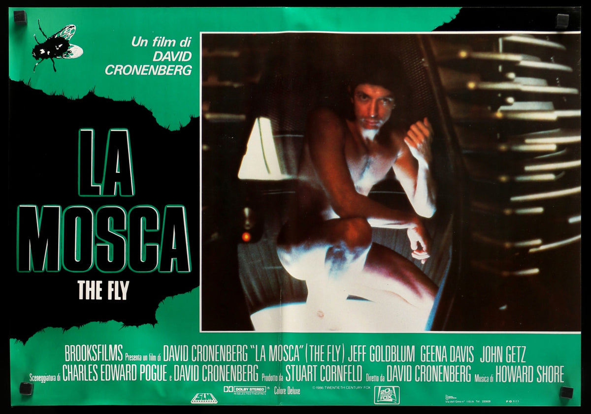 Fly (1986) original movie poster for sale at Original Film Art - Vintage Movie Posters