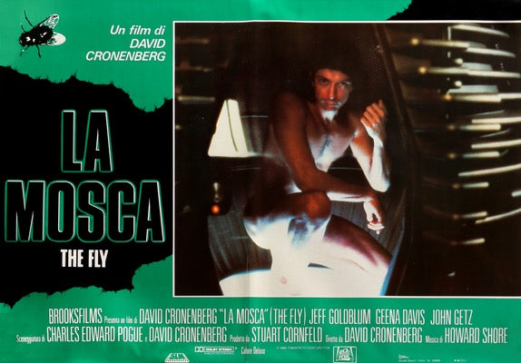 Fly (1986) original movie poster for sale at Original Film Art - Vintage Movie Posters