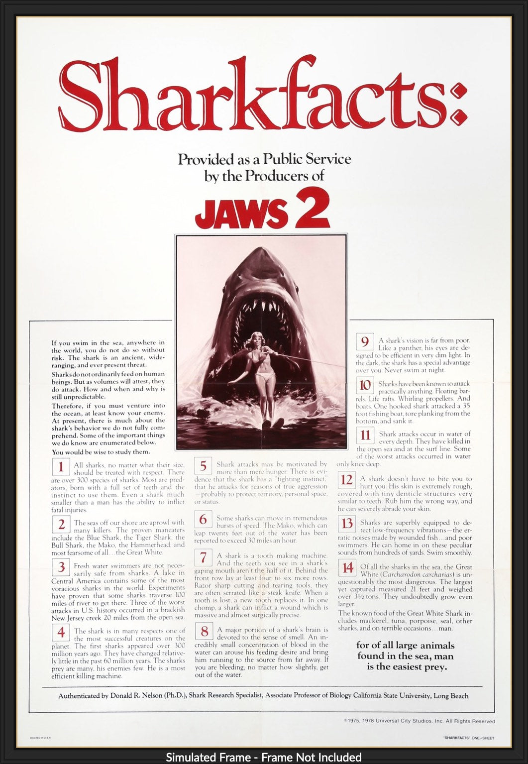 Jaws 2 (1978) original movie poster for sale at Original Film Art - Vintage Movie Posters