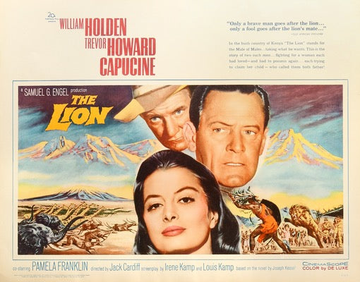 Lion (1962) original movie poster for sale at Original Film Art - Vintage Movie Posters