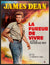 Rebel Without a Cause (1955) original movie poster for sale at Original Film Art - Vintage Movie Posters