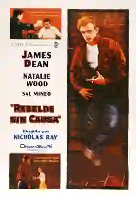 Rebel Without a Cause (1955) original movie poster for sale at Original Film Art