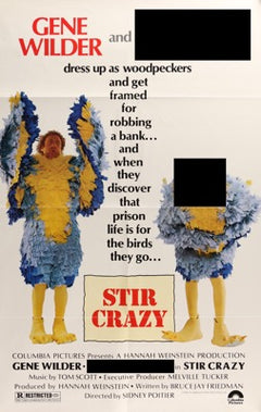 stir_crazy_original_film_art_a