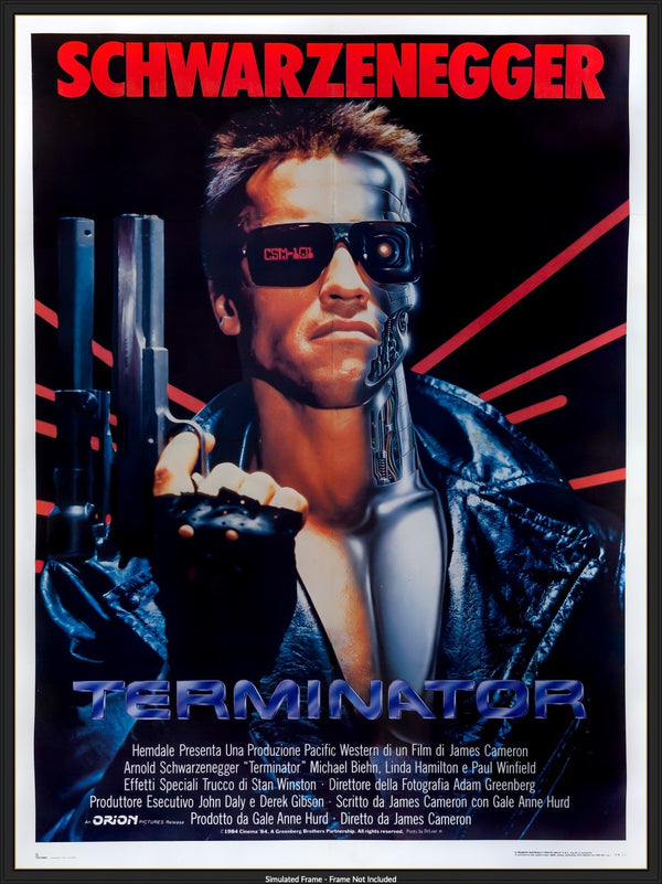 terminator movie poster framed
