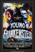 Young Frankenstein (1974) original movie poster for sale at Original Film Art